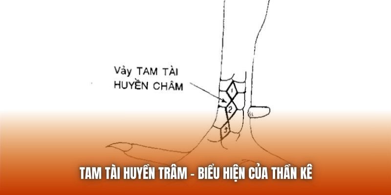 Tam tài huyền trâm - biểu hiện của thần kê